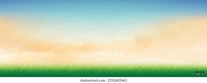 Fresh spring green grass under beautiful blue to yellow sky. Nature background with green grass and colorful sky. Vector illustration.