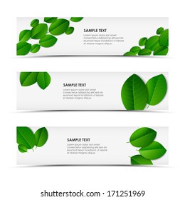 Fresh spring horizontal banners