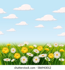 Fresh spring landscape, fields, meadows, daisies and dandelions, grass, greeting, isolated, Cartoon style, vector illustration