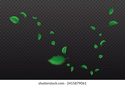 Fresh spring leaves flow realistic vector illustration. Lush floating foliage. Spring and summer herbs 3d element on transparent background