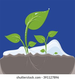 Fresh spring sprouts without volume fills.
