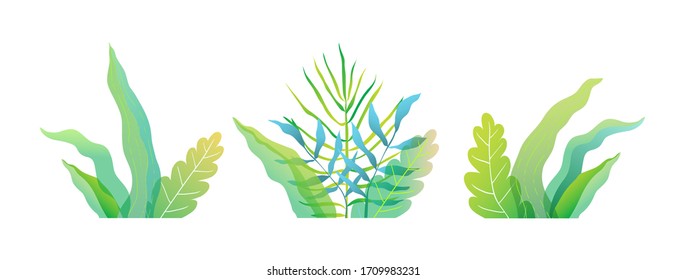 Fresh spring or summer green florals, leaves and grass flat watercolor style vector illustration. Decorative floral elements with fluid leaves, herbs organic spring garden compositions.