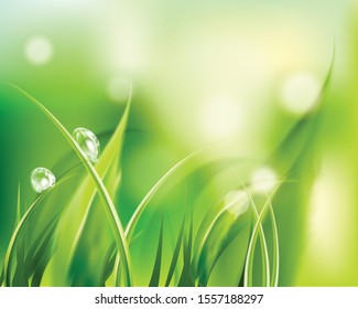 Fresh spring sunshine atmosphere background