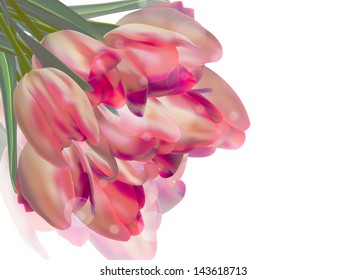 Fresh spring tulip flowers isolated on white. And also includes EPS 10 vector