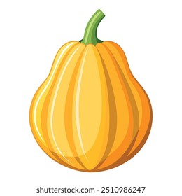 Fresh Squash Art, Vector, Icon and Graphic, Flat Vegetables Illustration Design On White Background