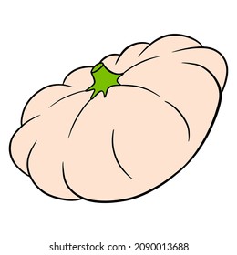 Fresh squash. Bright vegetable. Ingredient for the kitchen. Cartoon style. Vector illustration for design and decoration.