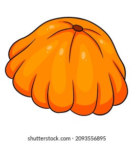 Fresh squash. Bright vegetable. Ingredient for the kitchen. Cartoon style. Vector illustration for design and decoration.