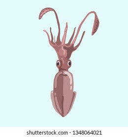 fresh squid seafood