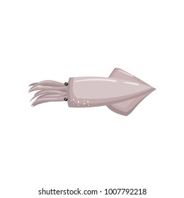 Fresh squid seafood cartoon vector Illustration