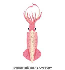 Fresh Squid Vector Illustration. Isolated Image on White Background.