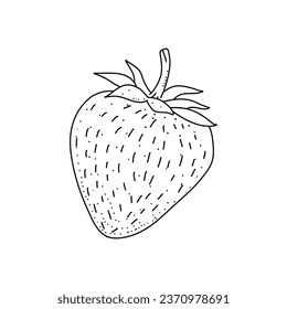 fresh strawberries berries doodle style. illustration black on white background