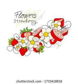 Fresh strawberries isolated on a white background. Set. Strawberry cut in half. Green leaves. Doodle. Red berry with flowers. Healthy eating. Pink. Hand-drawn vector illustration.