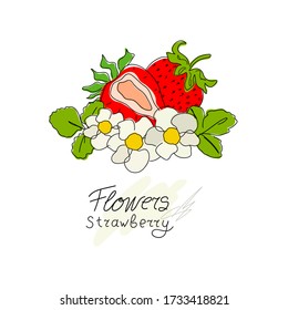 Fresh strawberries isolated on a white background. Set. Strawberry cut in half. Green leaves. Doodle. Red berry with flowers. Healthy eating. Pink. Hand-drawn vector illustration.