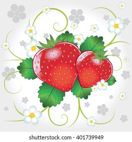 Fresh strawberries vector illustration