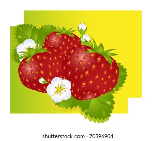 Fresh strawberry