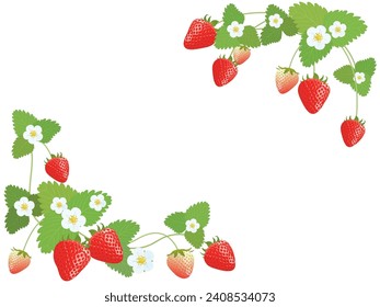 Fresh strawberry frame vector illustration