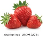 Fresh Strawberry Fruit Collection Vector Illustration Isolated on White Background