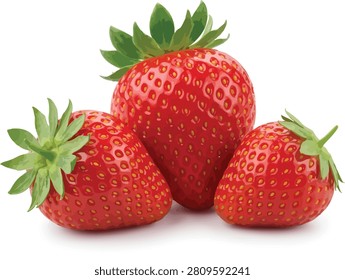 Fresh Strawberry Fruit Collection Vector Illustration Isolated on White Background