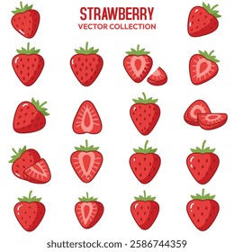 Fresh Strawberry Fruit Collections Set Vector Illustration