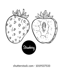 fresh strawberry fruit with hand drawn or doodle style
