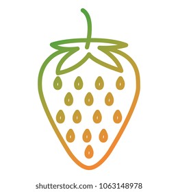 fresh strawberry fruit icon