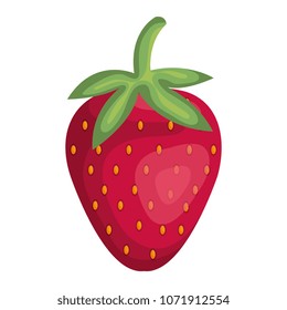 fresh strawberry fruit icon