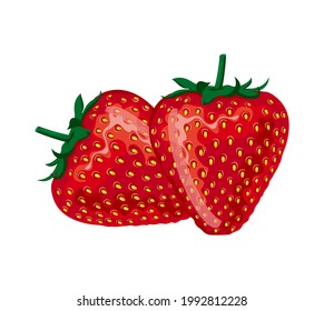 fresh strawberry fruit illustration vector drawing