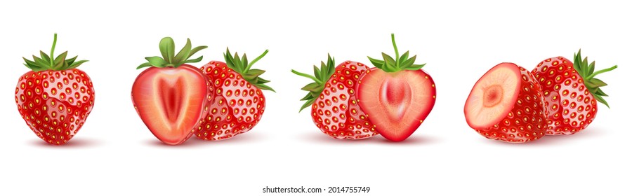 Fresh strawberry fruit with strawberries of pieces element in the middle on white background. Realistic vector in 3D illustration.