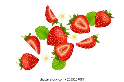 Fresh strawberry fruits flying and leaves with strawberries of pieces element in the middle on white background. Realistic 3D vector illustration.