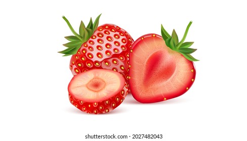 Fresh strawberry fruits set with strawberries slice of pieces element in the middle on white background. Realistic vector in 3D illustration.