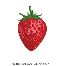 Fresh strawberry fruits vector illustration on white background