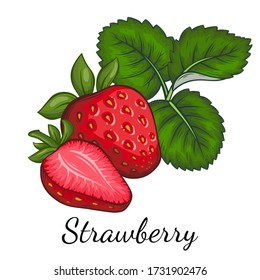 fresh Strawberry hand drawn vector illustration cartoon style . Sketch drawing isolated on white background with leaf. Organic vegetarian object for menu, label, recipe, product packaging