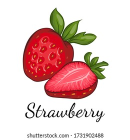 fresh Strawberry hand drawn vector illustration cartoon style . Sketch drawing isolated on white background with leaf. Organic vegetarian object for menu, label, recipe, product packaging