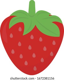 Fresh strawberry, illustration, vector on white background.