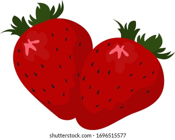 Fresh strawberry, illustration, vector on white background