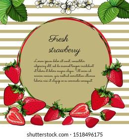 Fresh strawberry set. Berries, leaves. Flyer design template, mockup brochure, vertical banner, round frame. Add your text. Vector illustration.  Colored graphic sketch. Hand drawn. Engraving.