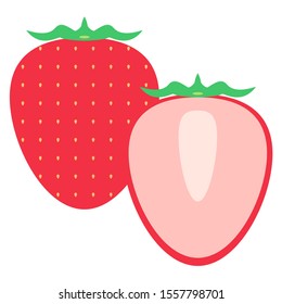 fresh strawberry set （ white back ）