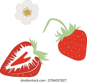 Fresh strawberry vector set with whole berries, sliced halves and green leaves. Bright, high-quality illustration ideal for food design, packaging, labels, desserts and recipes.