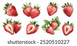 Fresh Strawberry Watercolor Fruit Hand Painted. Summer Red Berry, White Background. Vector Illustration