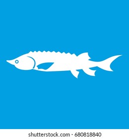 Fresh sturgeon fish icon white isolated on blue background vector illustration