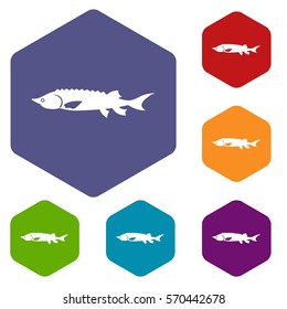 Fresh sturgeon fish icons set rhombus in different colors isolated on white background