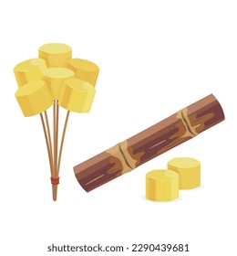 Fresh sugar cane and sugar slice in a bamboo stick