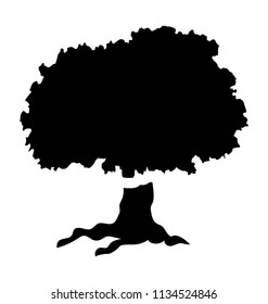 
A fresh sugar maple tree 
