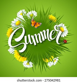 Fresh summer background with grass, dandelions and daisies 