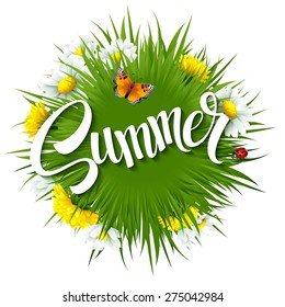 Fresh summer background with grass, dandelions and daisies