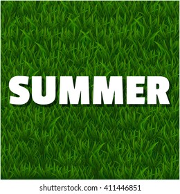 Fresh summer background with grass. Nature spring, summer backgrounds. Vector illustration.