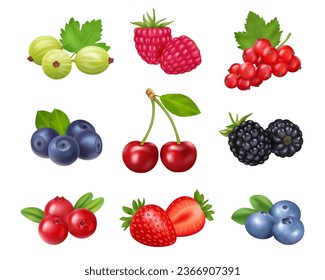 Fresh summer berries. Gooseberry and raspberry, red currant and blueberry, cherry and dewberry, cranberry and raspberry sweet dessert food. Smoothie and juice ingredients, wild cartoon berries vector