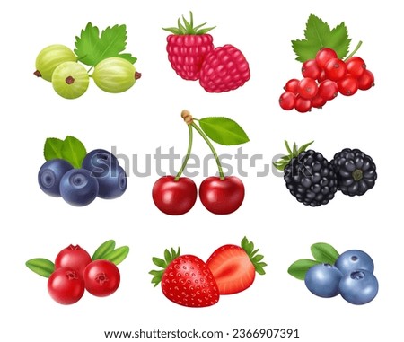 Fresh summer berries. Gooseberry and raspberry, red currant and blueberry, cherry and dewberry, cranberry and raspberry sweet dessert food. Smoothie and juice ingredients, wild cartoon berries vector