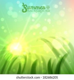 Fresh summer bokeh background, vector