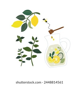 Fresh summer lemon drinks and mint, fresh cold lemonade with mint and lemon wedges in a decanter, flat lemonade with honey, cute cartoon little bee